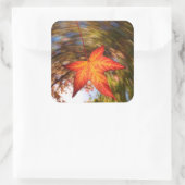 Herabfallendes Blatt von einem Baum im Herbst Quadratischer Aufkleber (Tasche)