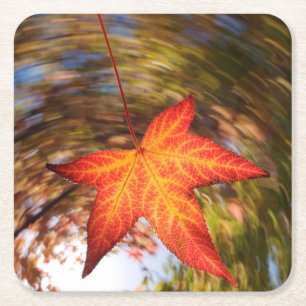 Herabfallendes Blatt von einem Baum im Herbst Rechteckiger Pappuntersetzer