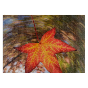 Herabfallendes Blatt von einem Baum im Herbst Schneidebrett