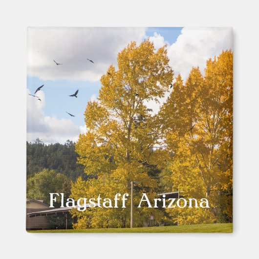 Herabsetzung des Arizona Magnet in Flagstaff (Vorne)