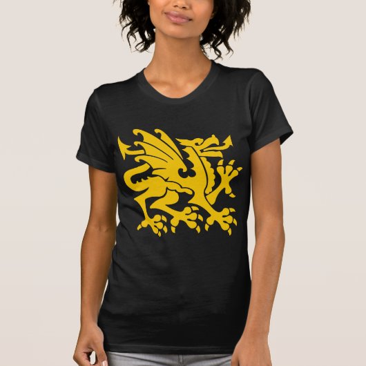 Heraldic Dragon 01 - Amber T-Shirt (Vorderseite)