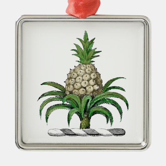Heraldischer Ananas-Vorbote aus Wappen Silbernes Ornament (Vorne)