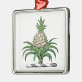Heraldischer Ananas-Vorbote aus Wappen Silbernes Ornament (Links)