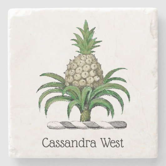 Heraldischer Ananas-Vorbote aus Wappen Steinuntersetzer (Vorderseite)