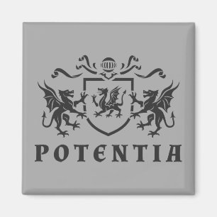 Heraldischer DracheBlazon Magnet