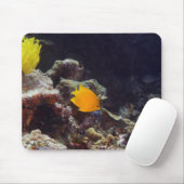 Herald's Angelfish (Centropyge heraldi) schwimmen Mousepad (Mit Mouse)