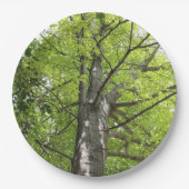 HERAUF DIE EICHE PAPPTELLER (Vorderseite)