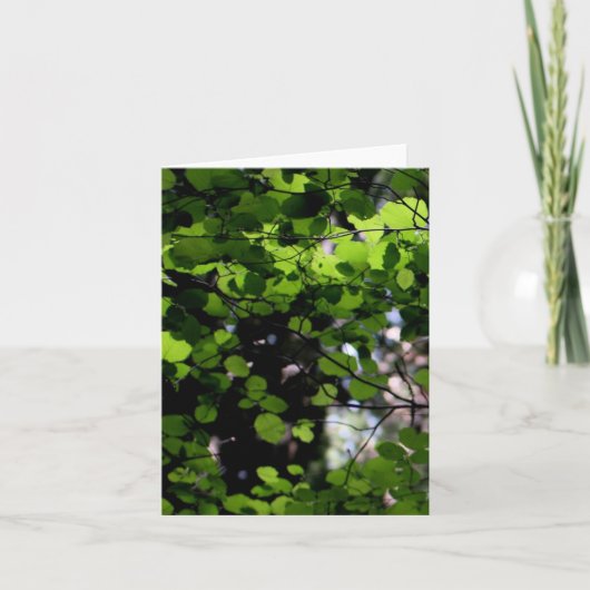 Herauf in die Baum-Anmerkungs-Karte Karte (Vorderseite)