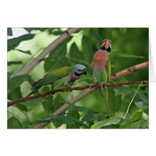 Heraus auf einem Glied