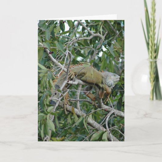 Heraus auf einer Glied-Karte Karte (Vorderseite)