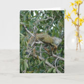 Heraus auf einer Glied-Karte Karte (Gelbe Blume)