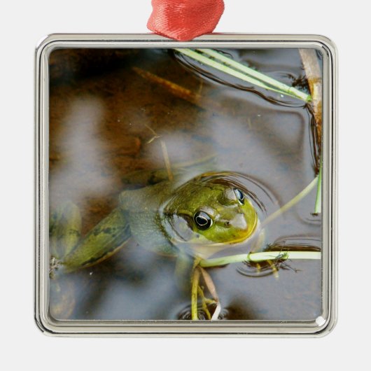 Heraus für etwas Frischluft Silbernes Ornament (Vorne)