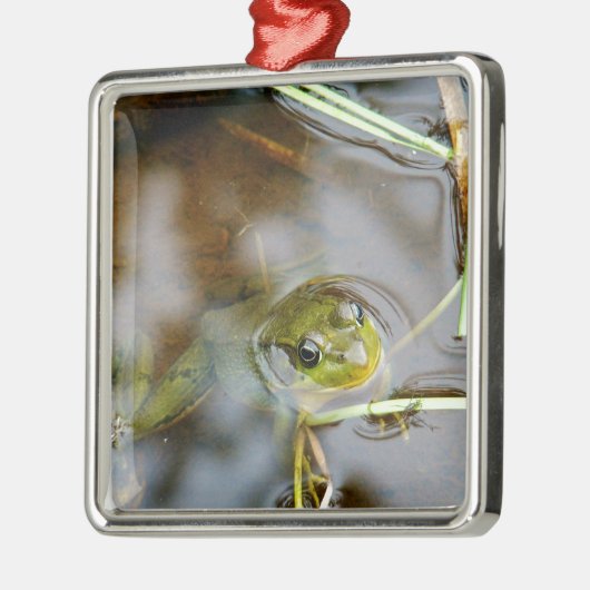 Heraus für etwas Frischluft Silbernes Ornament (Links)