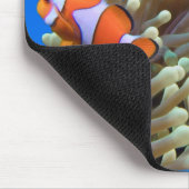 Heraus hängen mit Clown-Fischen Mousepad (Ecke)