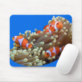 Heraus hängen mit Clown-Fischen Mousepad (Mit Mouse)