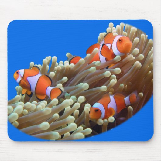 Heraus hängen mit Clown-Fischen Mousepad (Vorne)