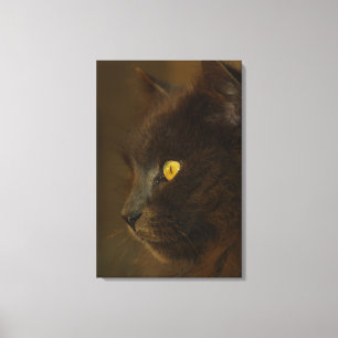 Heraus schauen leinwanddruck