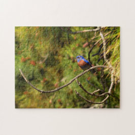 Herausforderung des Bluebird-Puzzles Puzzle