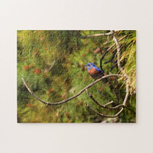 Herausforderung des Bluebird-Puzzles Puzzle (Horizontal)