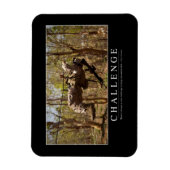 Herausforderung: Inspiration 2 Magnet (Vertikal)