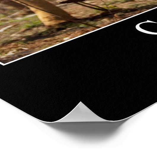 Herausforderung: Inspiration 2 Poster (Ecke)