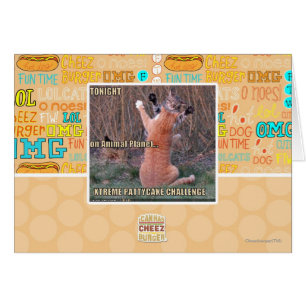 Herausforderung Xtremes PattyCake