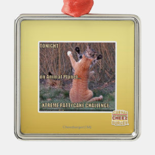 Herausforderung Xtremes PattyCake Silbernes Ornament