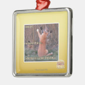 Herausforderung Xtremes PattyCake Silbernes Ornament (Links)