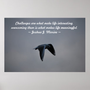 Herausforderungen Poster