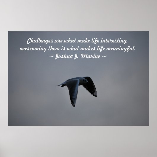 Herausforderungen Poster (Vorne)