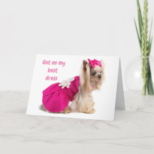 HERAUSGEPUTZT UND "GLÜCKWUNSCH" KARTE