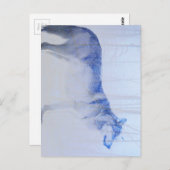 Herausgestellter Wolf Postkarte (Vorne/Hinten)