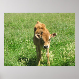 Herausragende in seinem Bereich Foto Print Poster