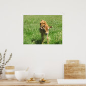 Herausragende in seinem Bereich Foto Print Poster (Küche)