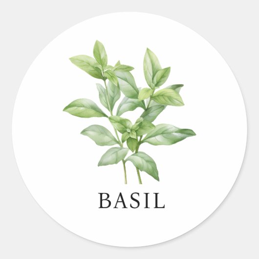 Herb Basil Watercolor Runder Aufkleber (Vorderseite)