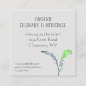 Herb Business Sage Farm Quadratische Visitenkarte (Rückseite)