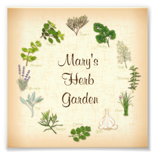 Herb Garden Foto Print