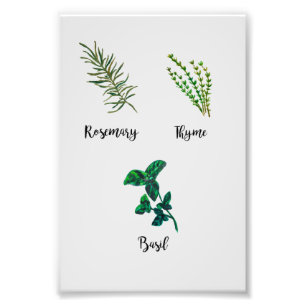 Herb Garden Painting Fotodruck