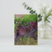 Herb Garden Postkarte (Stehend Vorderseite)