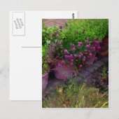 Herb Garden Postkarte (Vorne/Hinten)