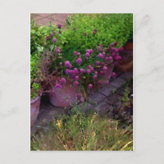 Herb Garden Postkarte