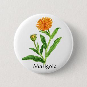 Herb Garden Series - Marigold Button