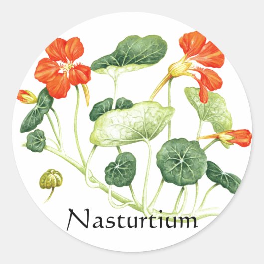 Herb Garden Series - Nasturtium Runder Aufkleber (Vorderseite)