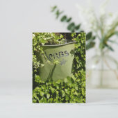 Herb Pot & Ivy Postkarte (Stehend Vorderseite)