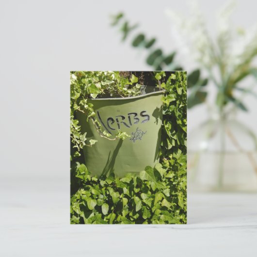 Herb Pot & Ivy Postkarte (Stehend Vorderseite)