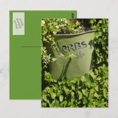 Herb Pot & Ivy Postkarte (Vorne/Hinten)