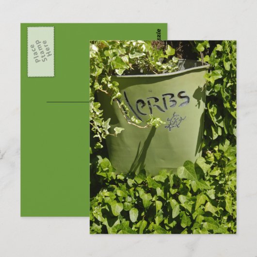 Herb Pot & Ivy Postkarte (Vorne/Hinten)