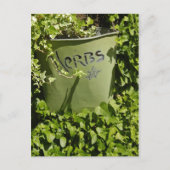 Herb Pot & Ivy Postkarte (Vorderseite)