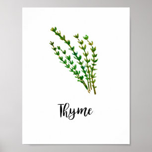 Herb Wasserfarbe Malerei Word Art Poster