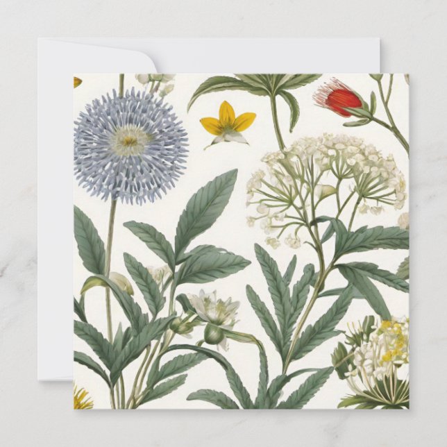 Herbal Harmony (Vorderseite)